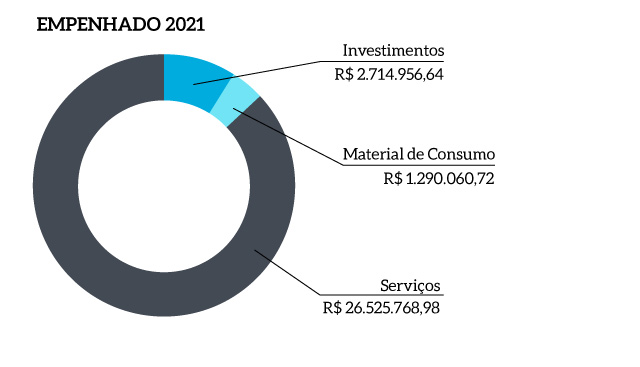 Imagem_empenhado_2021_v1
