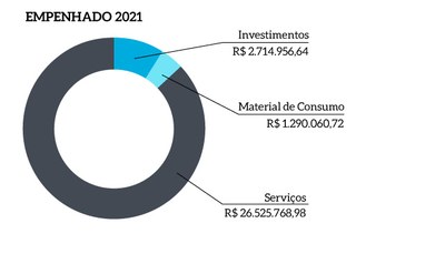 Imagem_empenhado_2021_v1