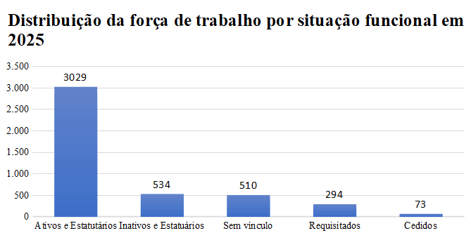 Distribuicao-forca-trabalho-situacao-funcional-2025.png