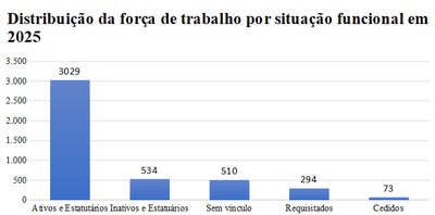 Distribuicao-forca-trabalho-situacao-funcional-2025.png