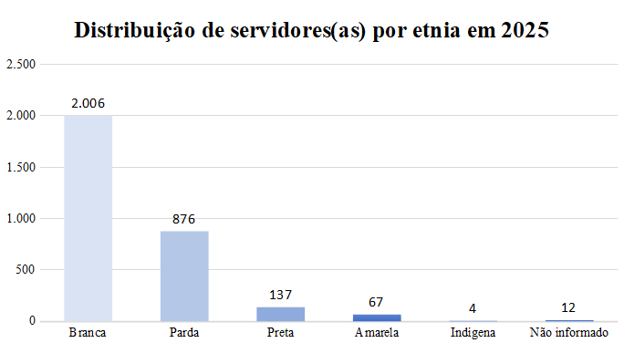 Distribuicao-servidor-etnia-2025.png